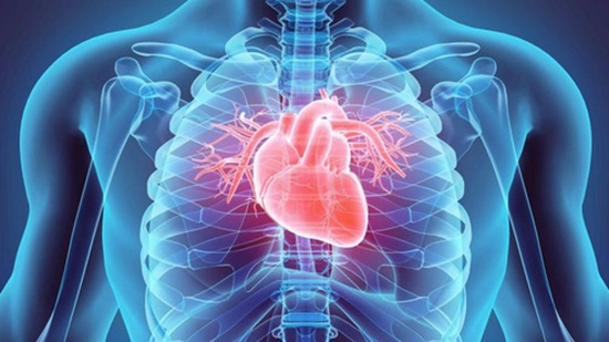 Cardiovascular Diseases {faces}